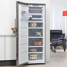 Freestanding Freezers