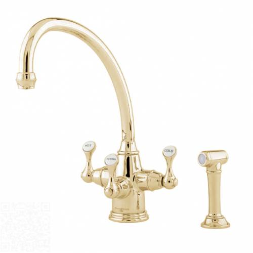 1520 ETRUSCAN Filtration Mixer Tap with Rinse in Gold