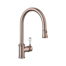 Blanco VICUS Single Lever Pull Out Spray Kitchen Tap
