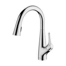 Clearwater Rosetta Pull Out Spray Kitchen Mixer Filter Tap