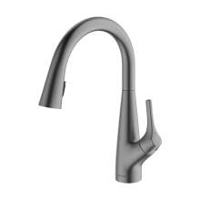 Clearwater Rosetta Pull Out Spray Kitchen Mixer Filter Tap