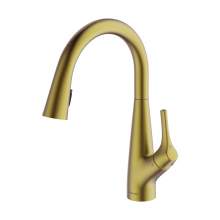 Clearwater Rosetta Pull Out Spray Kitchen Mixer Filter Tap