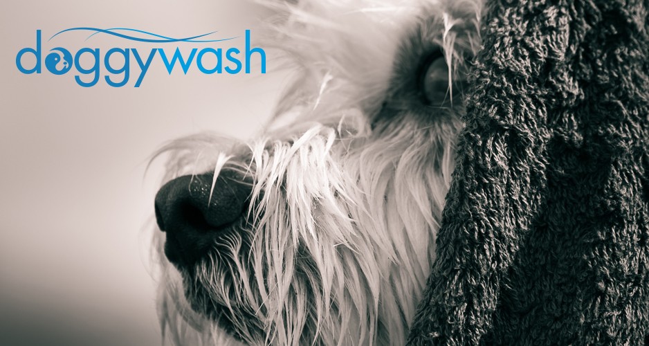 Sinks-to-wash-your-dog-in.jpg Sinks to wash your dog in